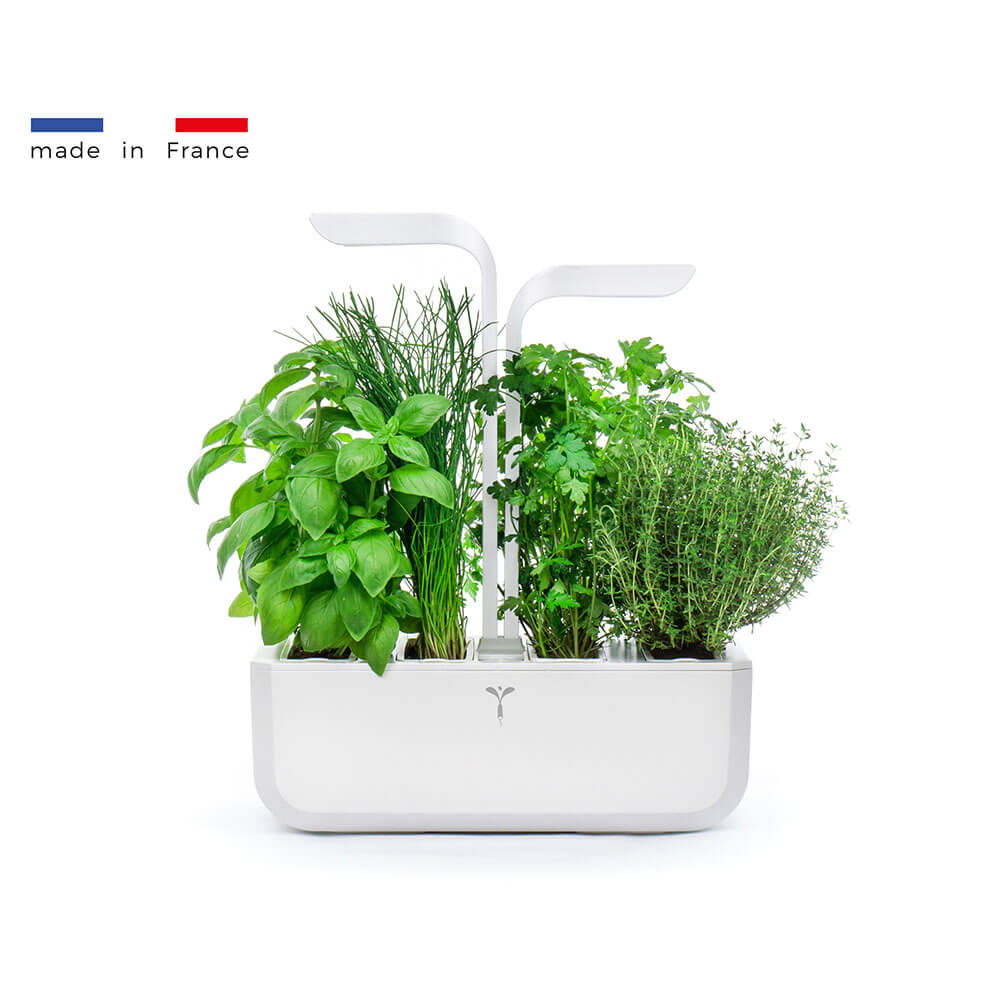 Potager d'intérieur Véritable Classic avec 4 lingots OFFERTS - VERITABLE