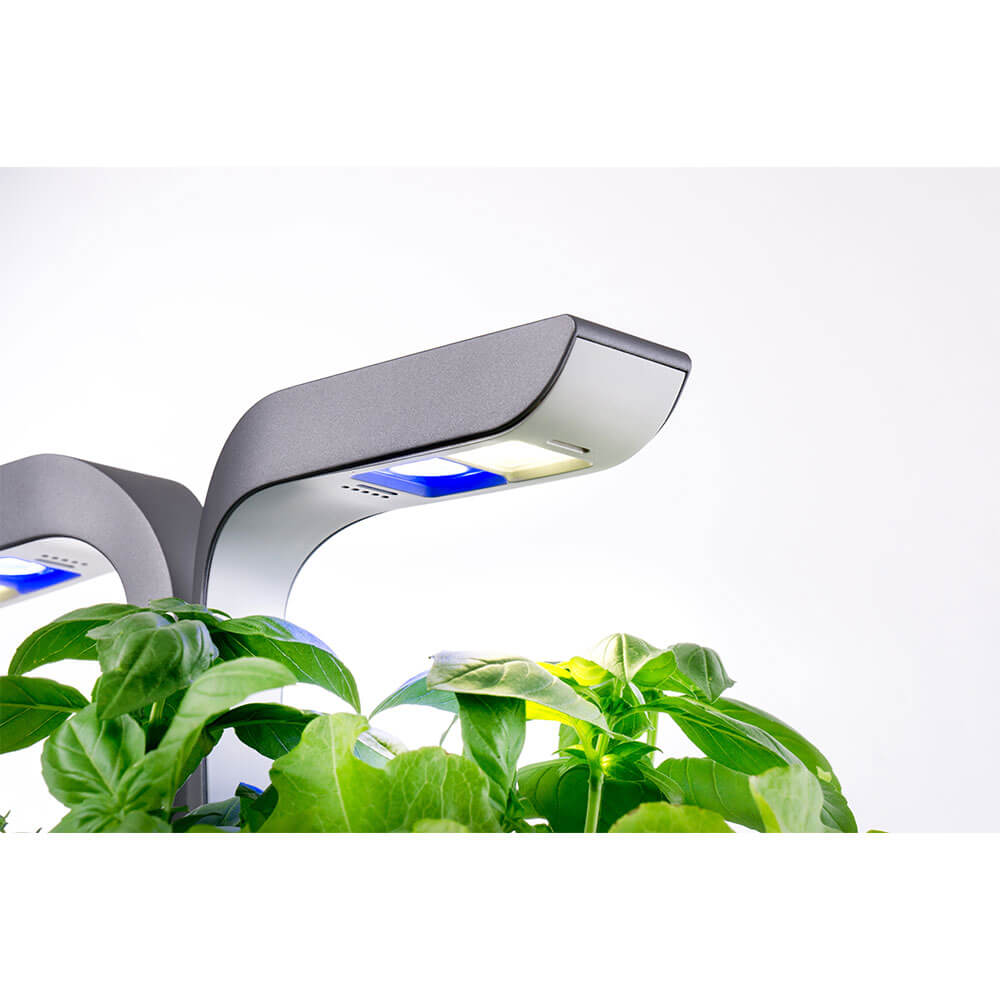 Lampes LED du Potager d'intérieur Connect Infinity Grey avec 4 lingots OFFERTS - VERITABLE