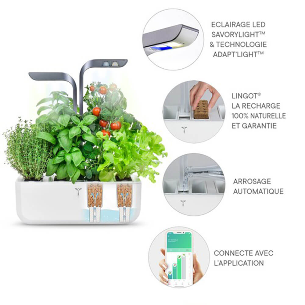 Fonctionnement du Potager d'intérieur Connect Infinity Grey avec 4 lingots OFFERTS - VERITABLE