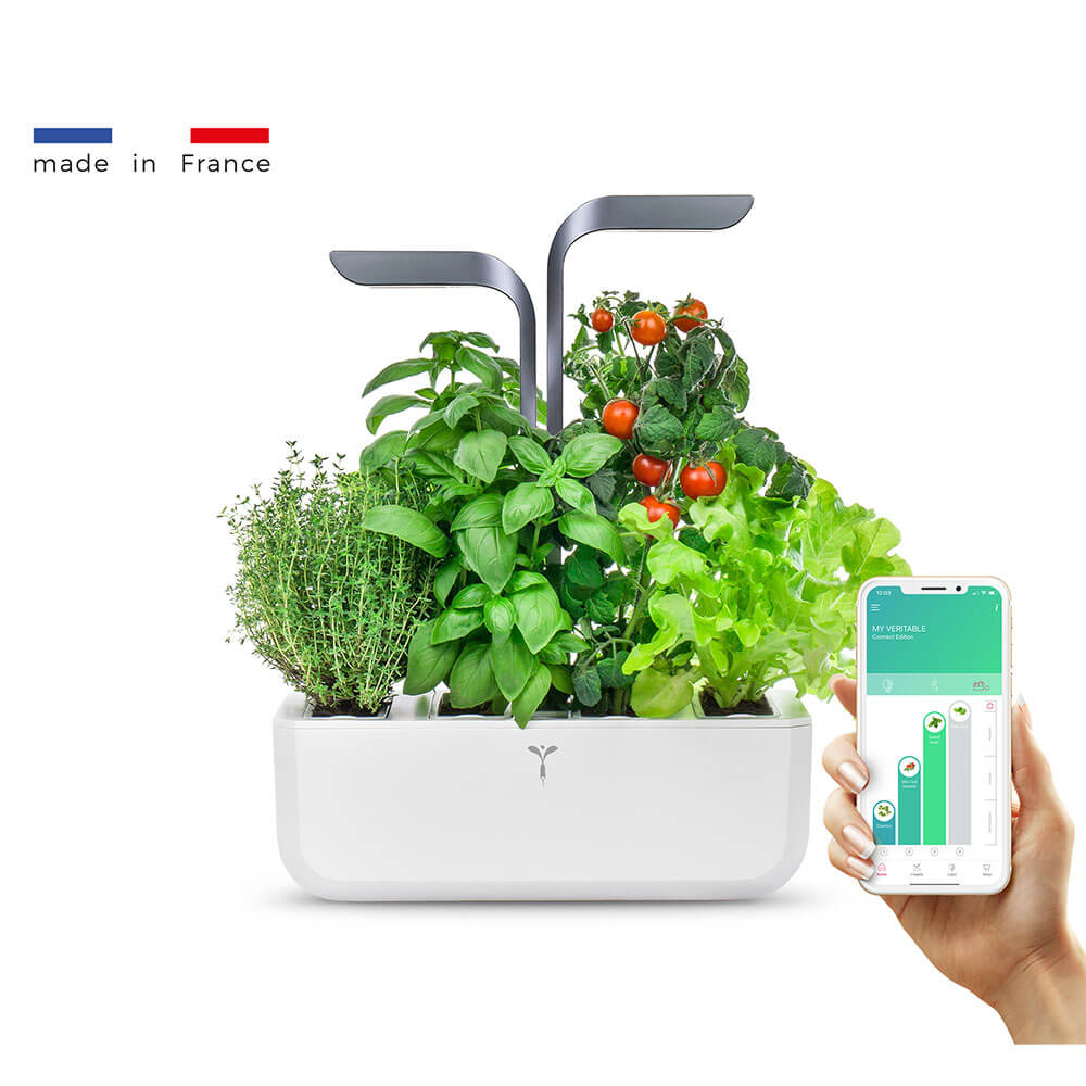 Potager d'intérieur Connect Infinity Grey avec 4 lingots OFFERTS - VERITABLE