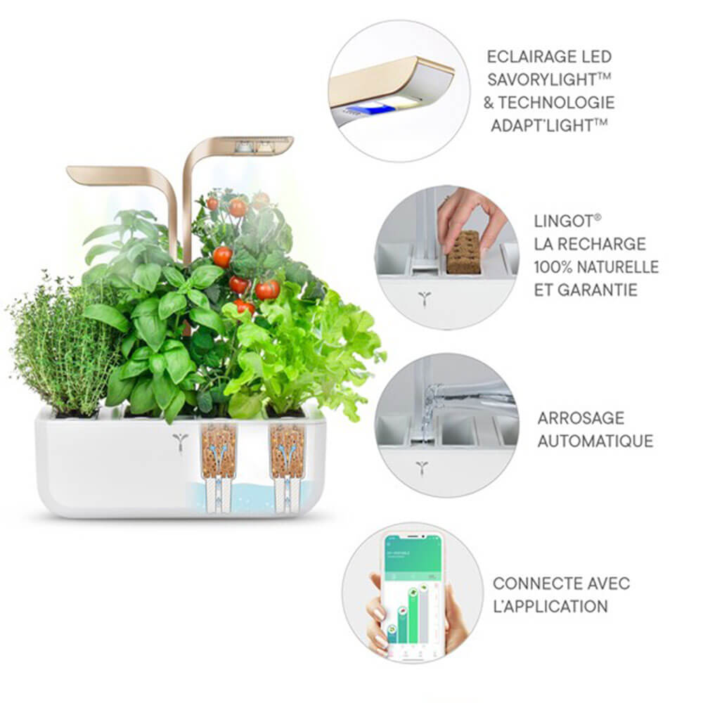 Mode de fonctionnement du Potager d'intérieur Connect Moonlight Gold avec 4 lingots OFFERTS - VERITABLE