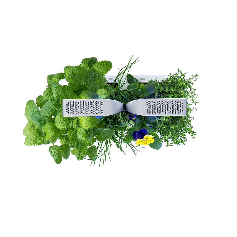 Potager d'intérieur Véritable Smart Blanc avec 4 lingots OFFERTS vue du dessus - VERITABLE