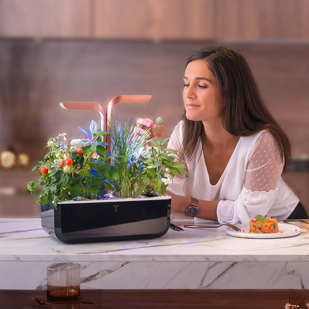 Récolte du Potager d'intérieur Véritable Smart Cuivre avec 4 lingots OFFERTS - VERITABLE