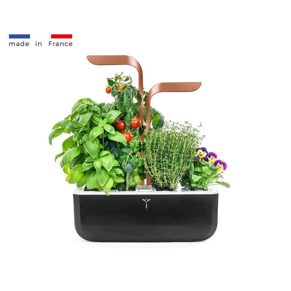Potager d'intérieur Véritable Smart Cuivre avec 4 lingots OFFERTS - VERITABLE