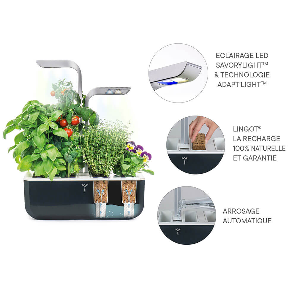 Fonctionnement du Potager d'intérieur Véritable Smart Noir avec 4 lingots OFFERTS - VERITABLE
