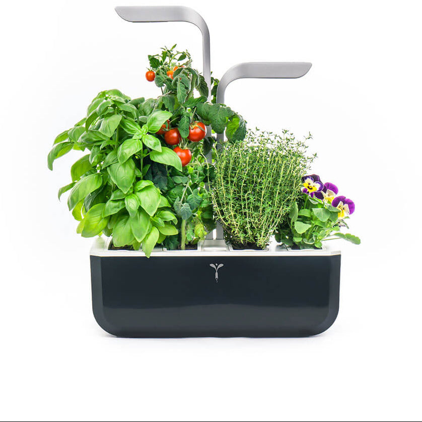 Potager d'intérieur Véritable Smart Noir avec 4 lingots OFFERTS - VERITABLE