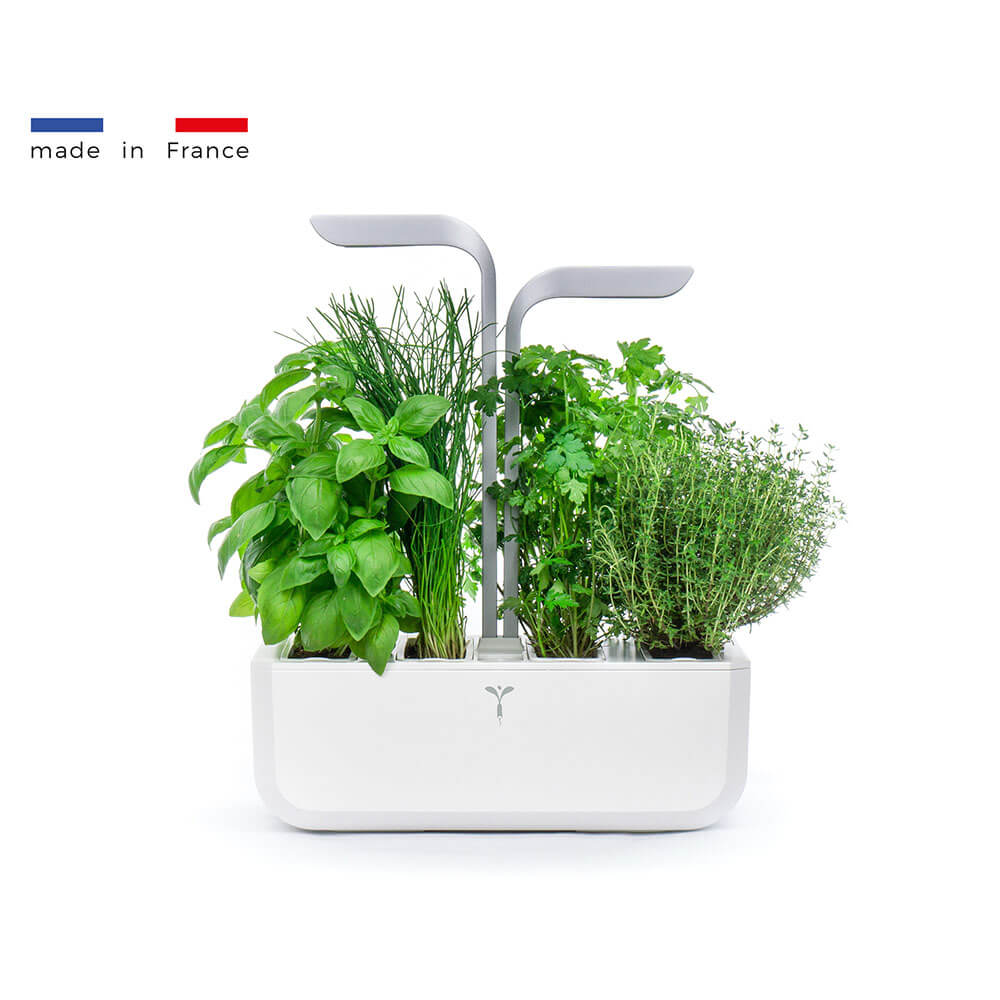 Potager d'intérieur Véritable Smart Blanc avec 4 lingots OFFERTS - VERITABLE