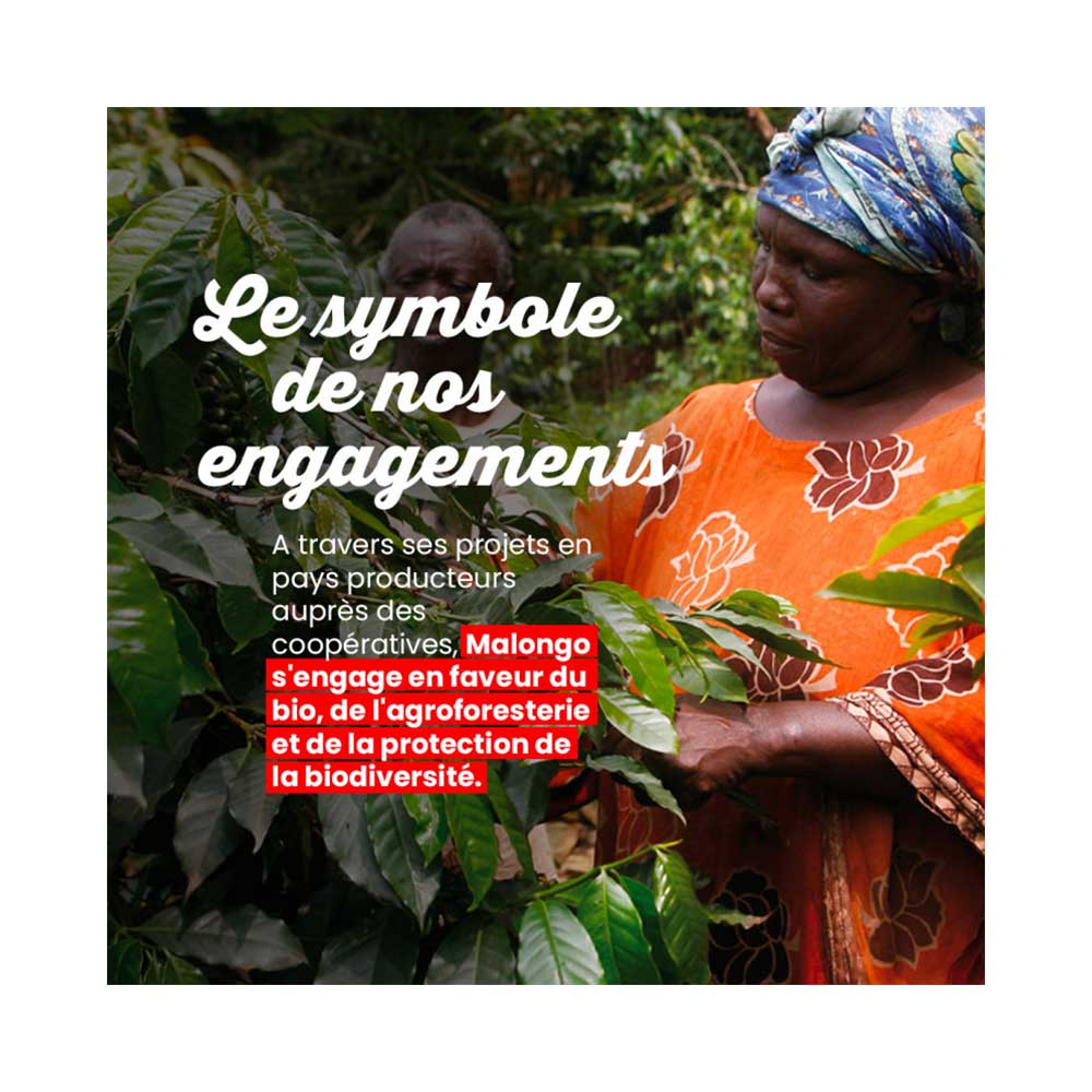 Dosettes de café Bio La Tierra - Machine EOH - MALONGO biologique