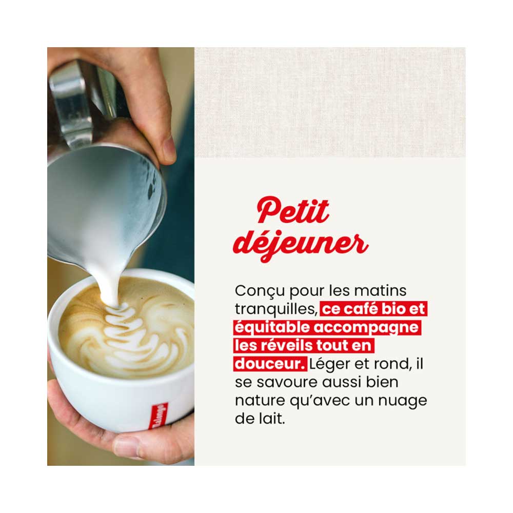 Dosettes de café Bio Purs Matins - Machine EOH - MALONGO nouveau