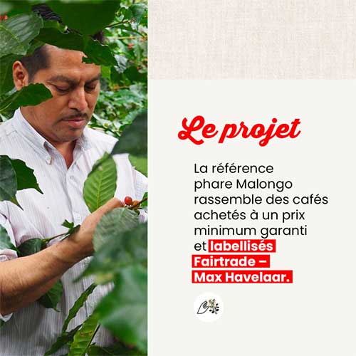 Café moulu Petits Producteurs L'Original - MALONGO fairtrade max havelaar