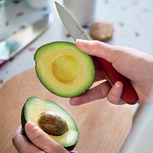 Coffret de 2 couteaux de cuisine JUSTE - OPINEL situation