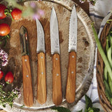 Coffret Les Essentiels Olivier - OPINEL manche inox 4 couteaux de cuisine