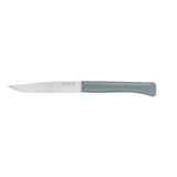 Coffret 4 couteaux de table Bon Appétit + Panachés GLAM - OPINEL vert sauge