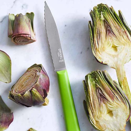 Coffret Trio Les Essentiels - OPINEL couteau cranté vert tomate