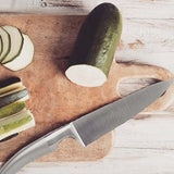 Couteau Chef - Eminceur 20 cm Styl'Ver - GOYON-CHAZEAU 100 % INOX