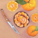 Couteau Bec d'Oiseau 7 cm Le Thiers - GOYON-CHAZEAU fruits et légumes