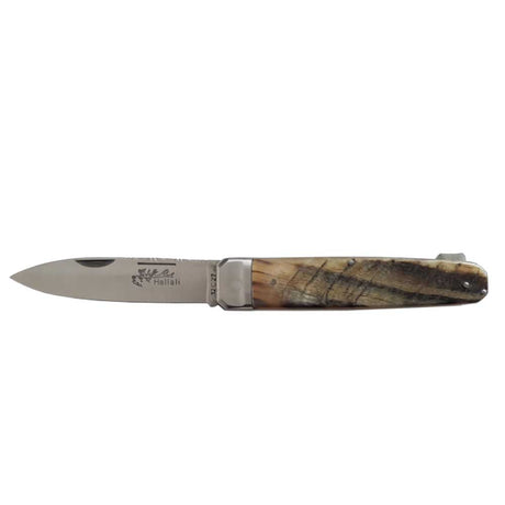Couteau pliant Hallali Corne de bélier 1 pièce - DOURIS CHASTEL