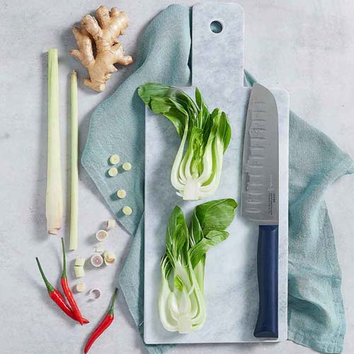 Couteau Santoku Intempora n°219 - OPINEL