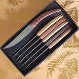 Coffret de 6 couteaux Styl'Ver Brasserie Bois Assortis - GOYON-CHAZEAU couteaux de table panachés