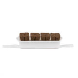 Kit de culture - VERITABLE plante