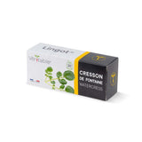 Lingot Cresson de fontaine BIO - VERITABLE Potager intérieur