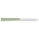 Coffret de 4 couteaux de table N°125 Bon Appétit Sauge – OPINEL promo