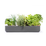 Potager Gourmet Extérieur 1 Bac et 6 Lingots OFFERTS - VERITABLE