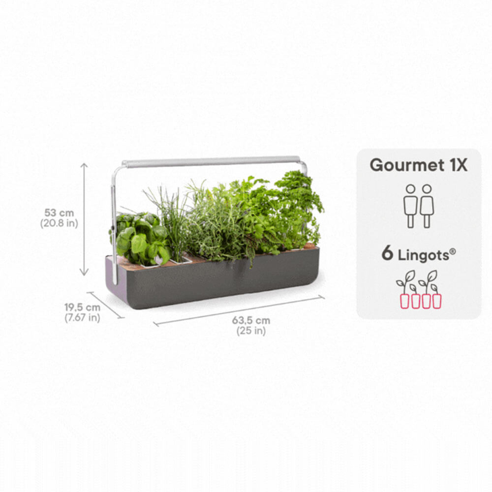 Potager Gourmet Intérieur 1 Bac et 6 Lingots OFFERTS - VERITABLE avec dimensions