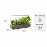 Potager Gourmet Intérieur 1 Bac et 6 Lingots OFFERTS - VERITABLE avec dimensions