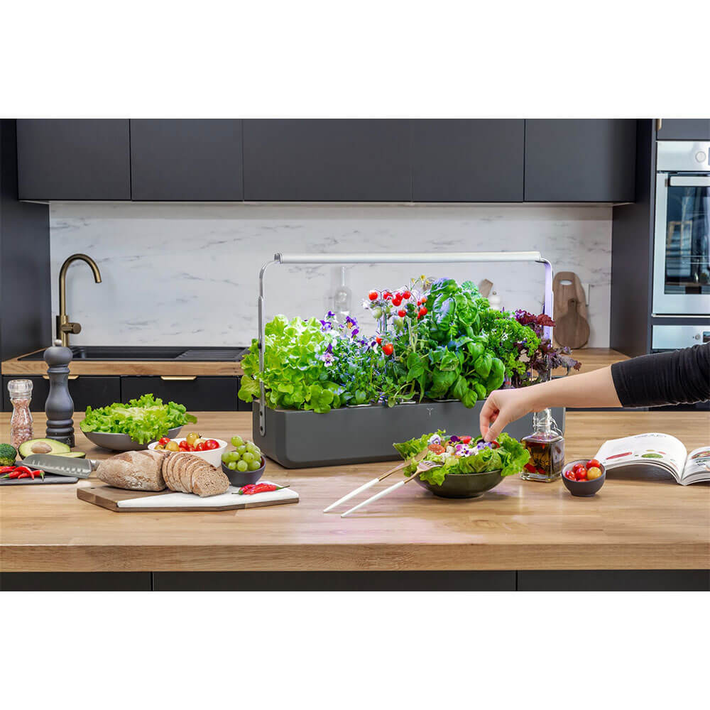 Potager Gourmet Intérieur 1 Bac et 6 Lingots OFFERTS - VERITABLE vu sur dans une cuisine