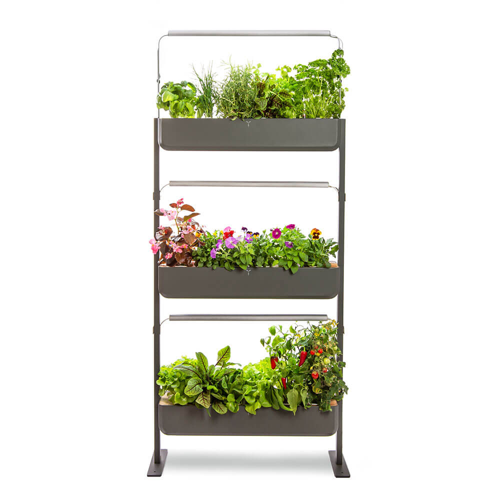 Potager Gourmet Intérieur 3 Bacs et 18 Lingots OFFERTS - VERITABLE