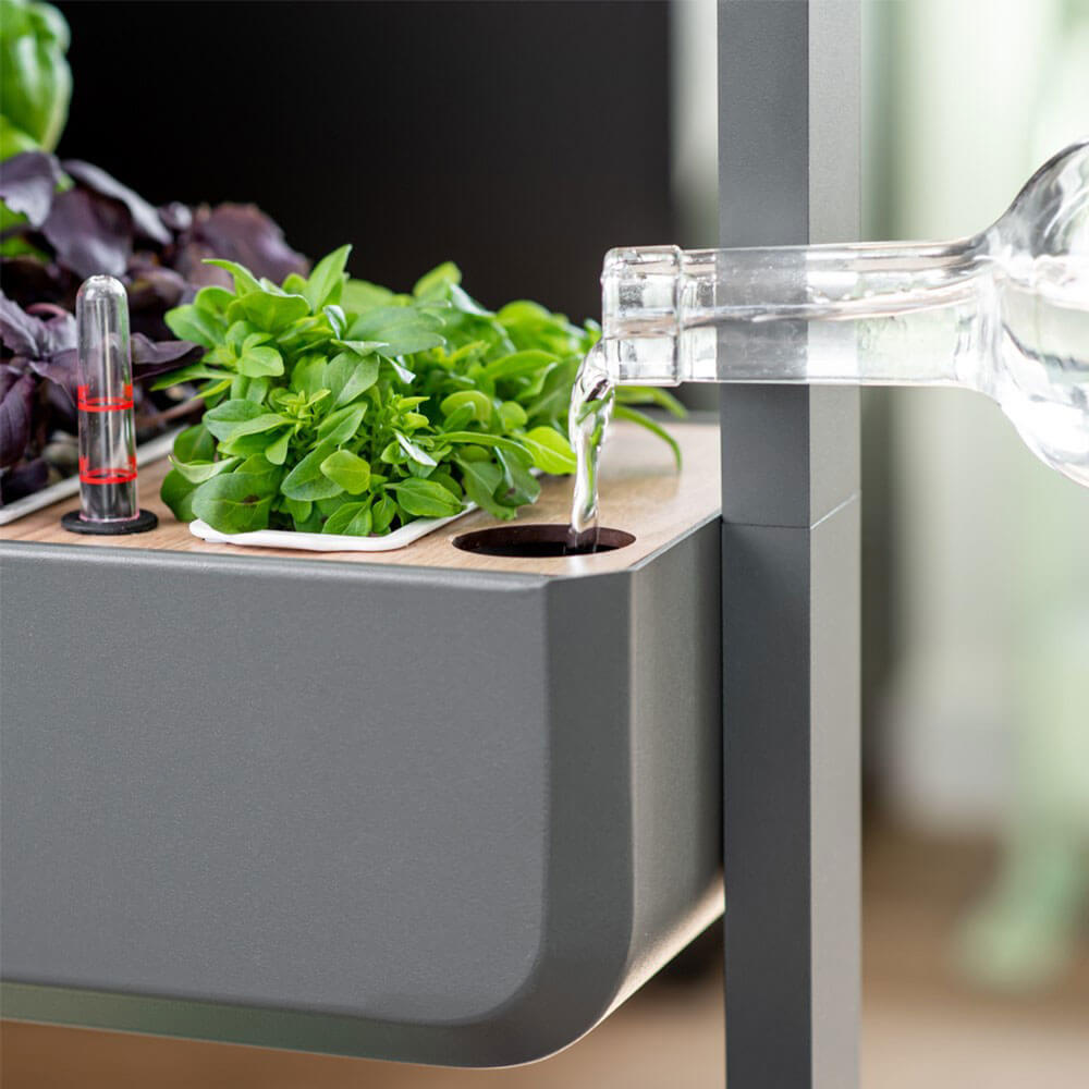 Arrosage du Potager Gourmet Intérieur 2 Bacs avec étagère et 12 Lingots OFFERTS - VERITABLE