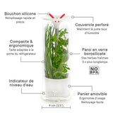 Explications du Conservateur à herbes aromatiques en verre - VERITABLE
