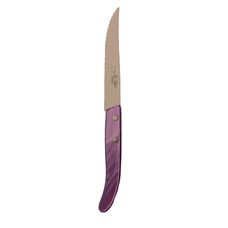 couteau à steak avec manche aubergine de la coutellerie Au Sabot