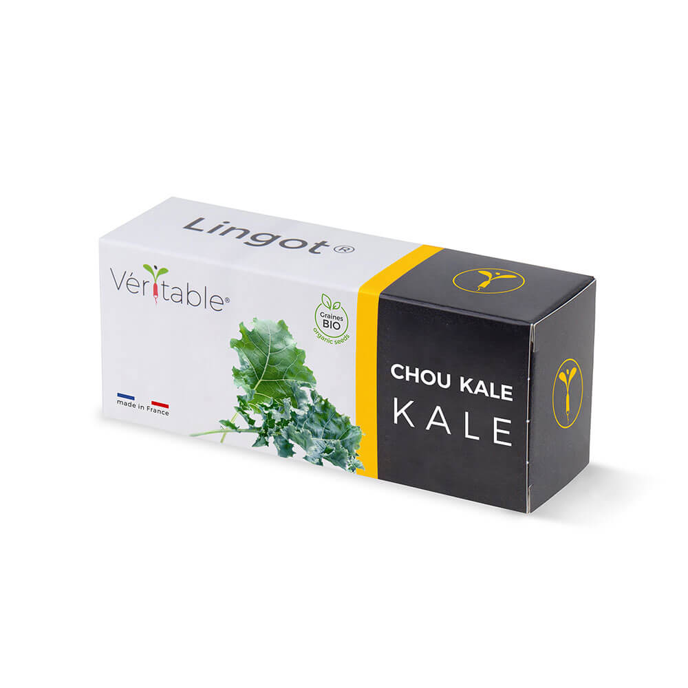 Lingot Chou Kale BIO emballé - VERITABLE
