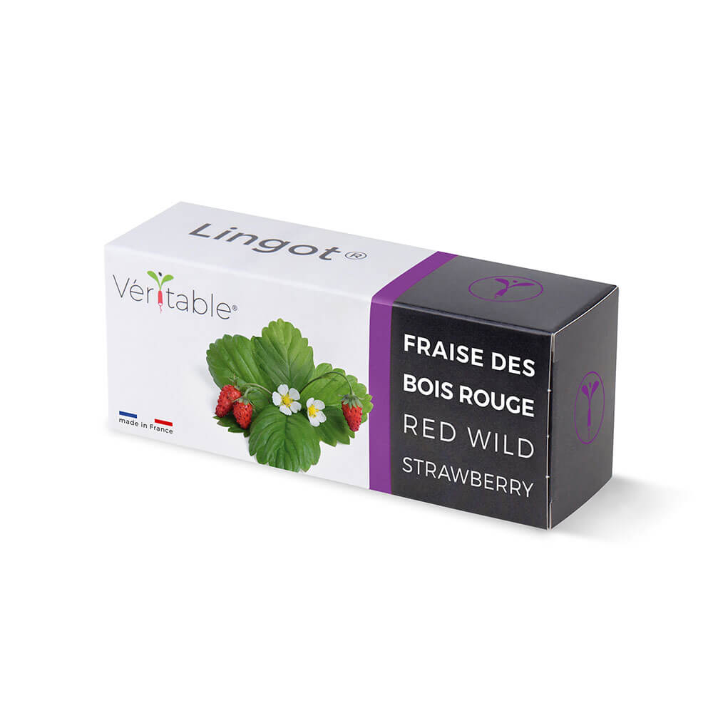 Lingot Fraise des Bois Rouge emballé - VERITABLE