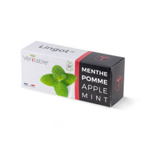 Lingot Menthe Pomme emballé - VERITABLE