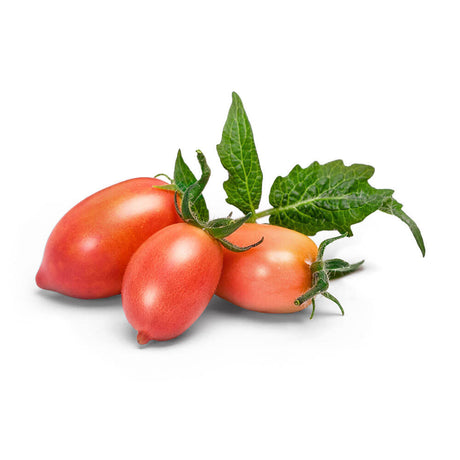 Lingot Mini Tomate Rose - VERITABLE