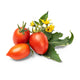 Lingot Mini Tomate Rouge - VERITABLE