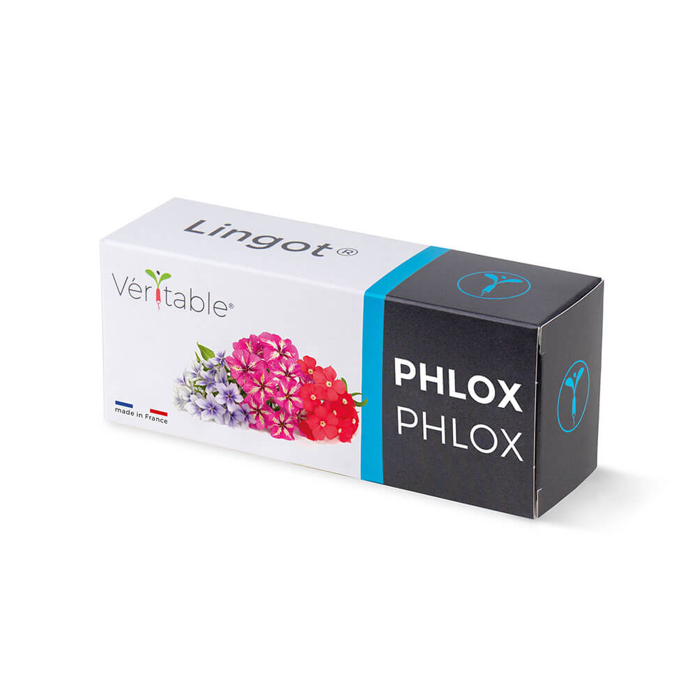 Lingot Phlox emballé - VERITABLE