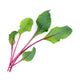 Lingot Pousses de Betterave BIO - VERITABLE