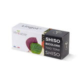 Lingot Shiso bicolore emballé - VERITABLE