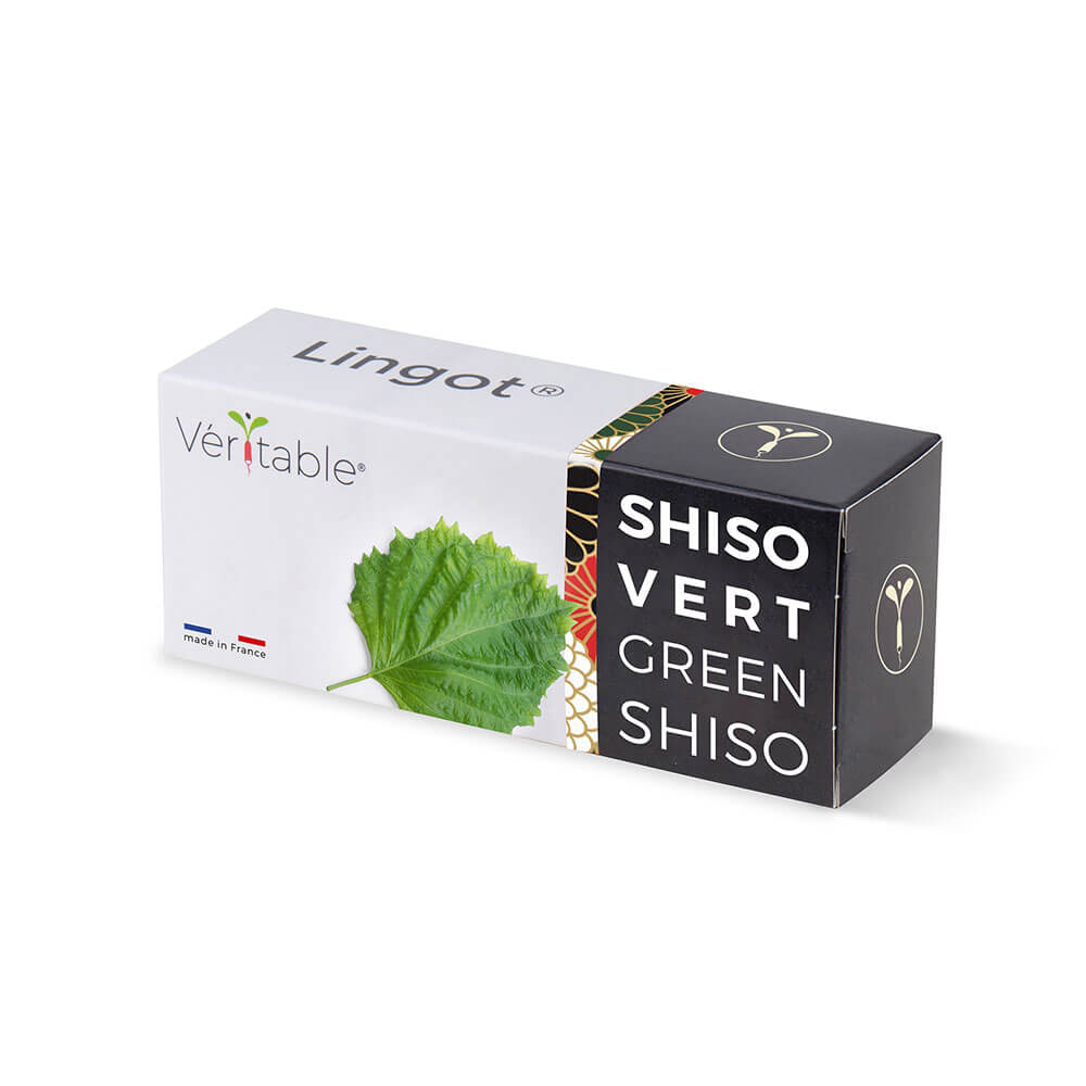 Lingot Shiso vert emballé - VERITABLE
